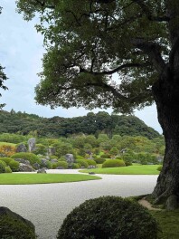 新人ふくはらのふくちゃんブログ